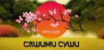 Сашими суши Новосибирск